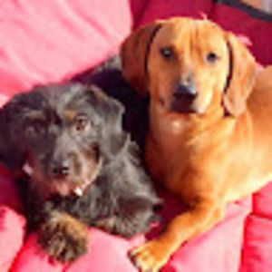 Meet your Posher, Moira